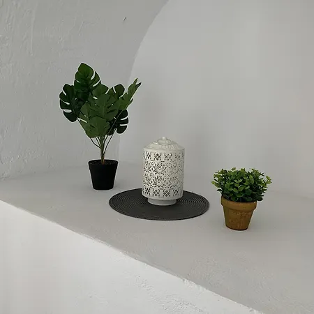 Apartment Pals *